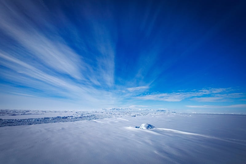 Antarctic Expedition